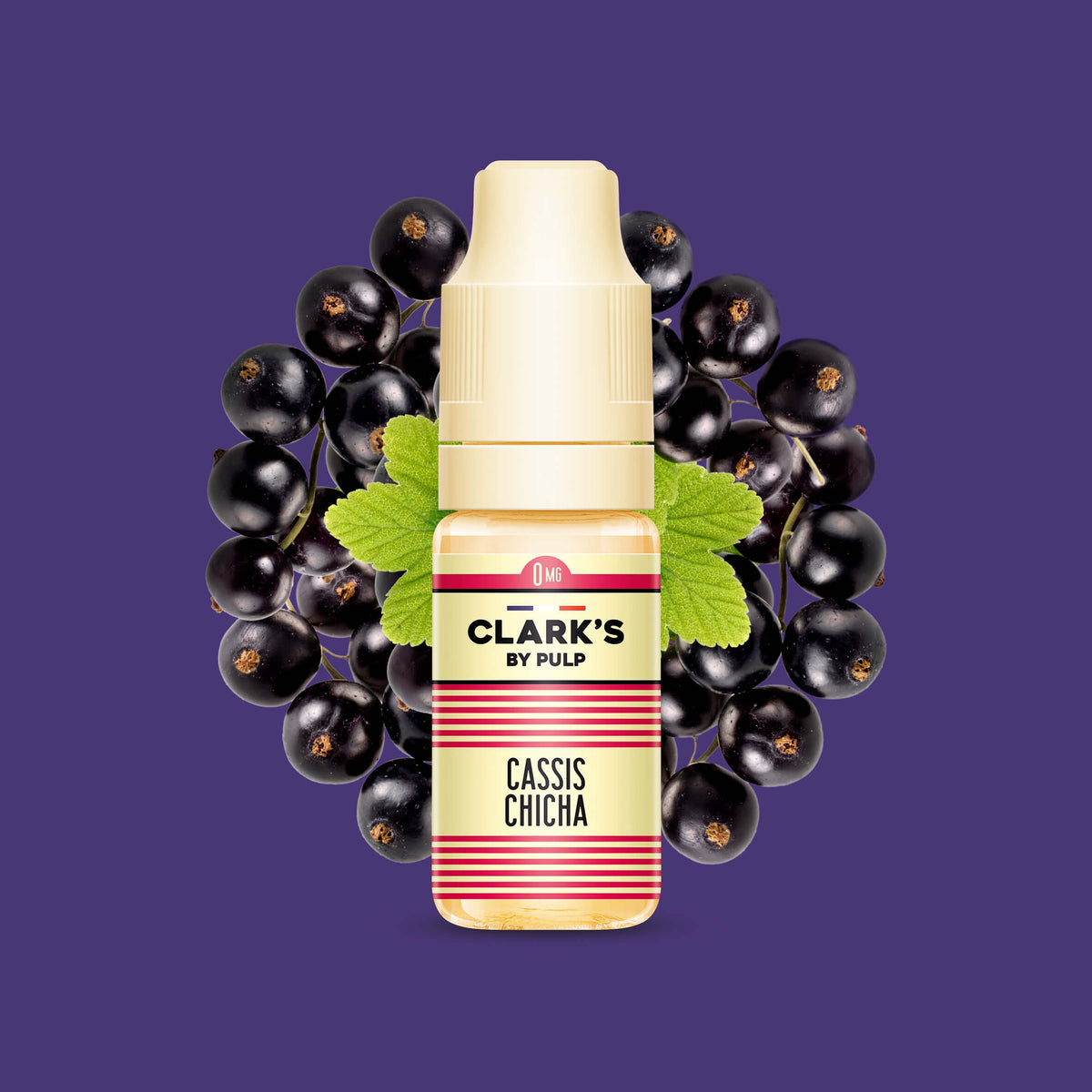 E-liquide Cassis Chicha Clark's by PULP, flacon de 10 mL