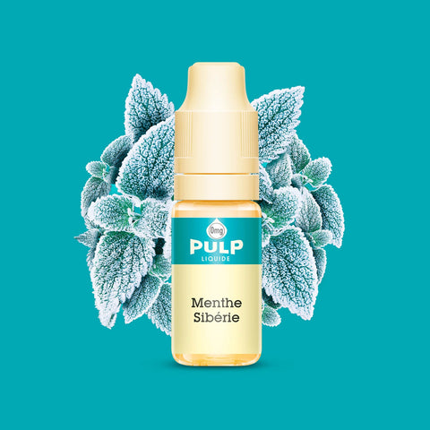 E-liquide Menthe Sibérie PULP, flacon de 10 mL