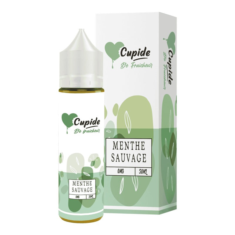 E-liquide Menthe Sauvage FUEL Cupide, flacon de 50 mL et sa boîte