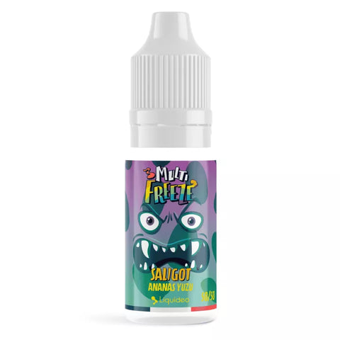 E-liquide Saligot Liquideo Multi Freeze, flacon de 10 mL