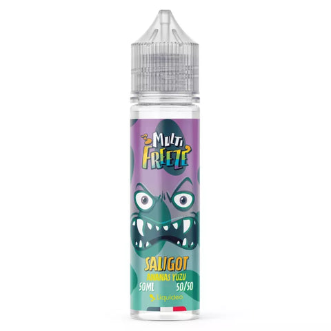 E-liquide Saligot Liquideo Multi Freeze, flacon de 50 mL