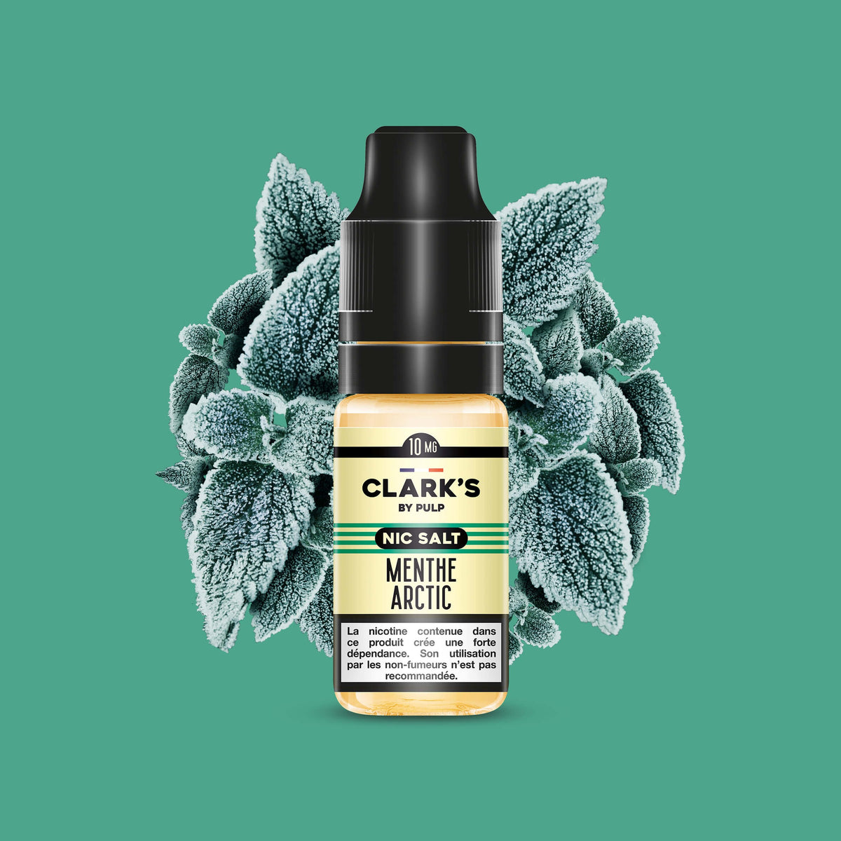 E-liquide Menthe Arctic Clark's by PULP Nic Salt aux sels de nicotine, flacon de 10 mL