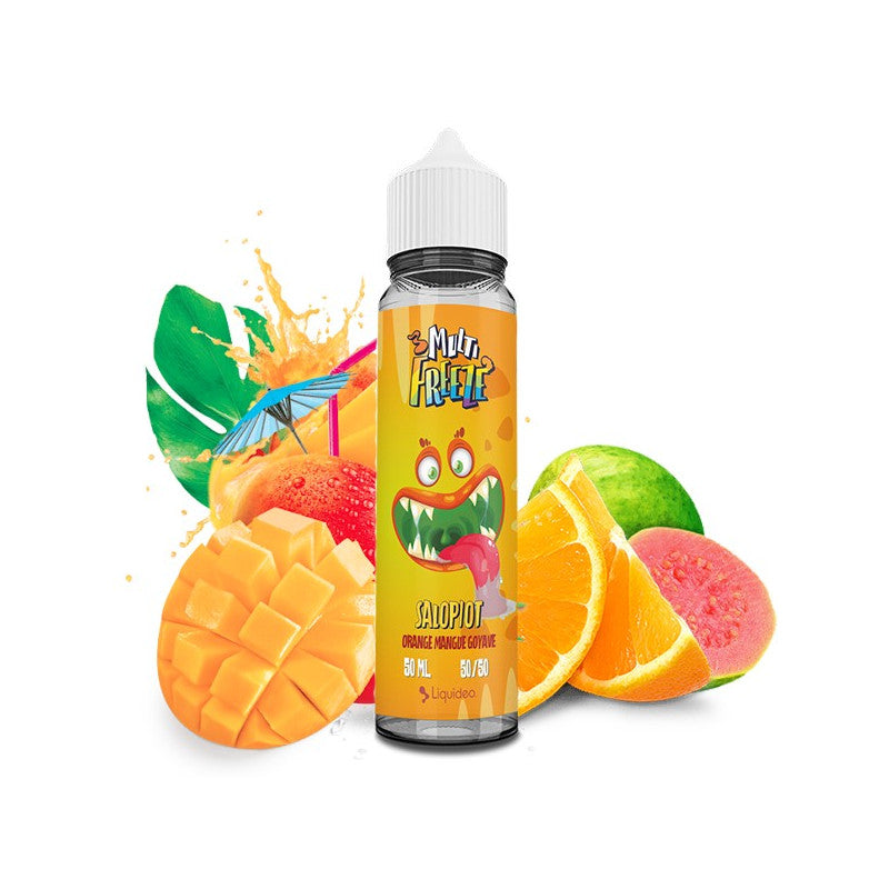 E-liquide Salopiot Liquideo Multi Freeze, flacon de 50 mL